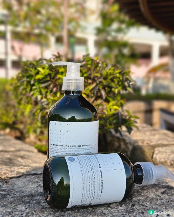 茶籽擁有多種天然功效