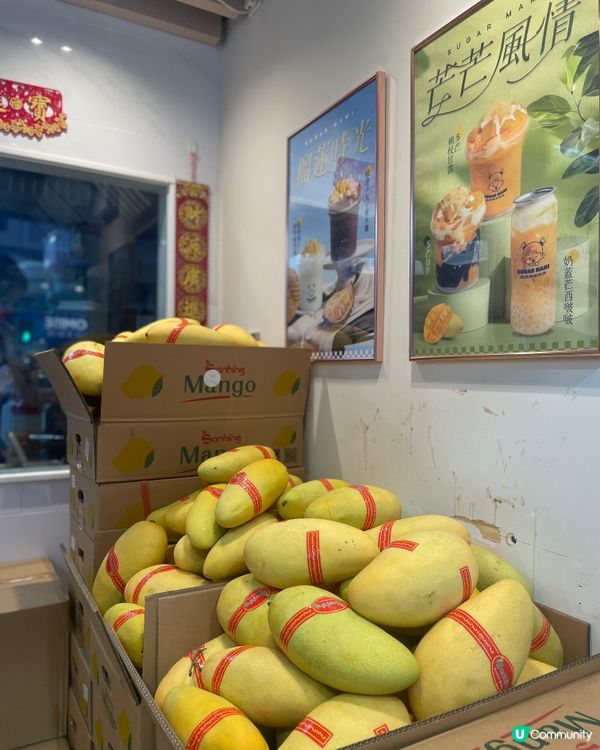 深水埗甜品天堂 🤤  甜姨姨研究所必食推介！