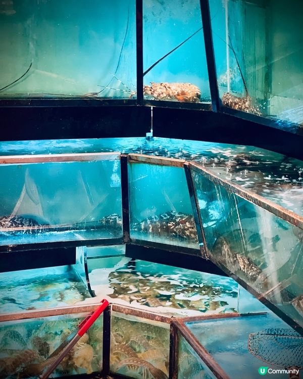 勁有水準既老字號👍🏻👍🏻招牌炒蟹冇得輸👍🏻👍🏻