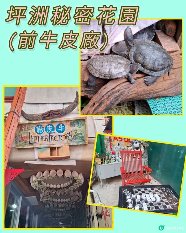 另一驚喜....坪洲秘密花園,夠特色,有心思🤩😄💜👍