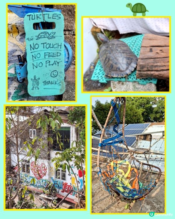 另一驚喜....坪洲秘密花園,夠特色,有心思🤩😄💜👍