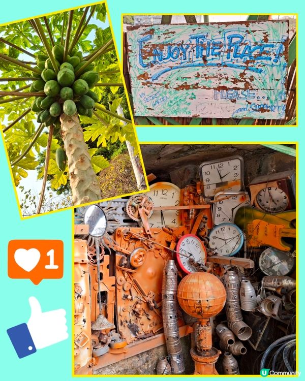 另一驚喜....坪洲秘密花園,夠特色,有心思🤩😄💜👍