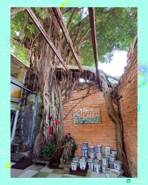 另一驚喜....坪洲秘密花園,夠特色,有心思🤩😄💜👍