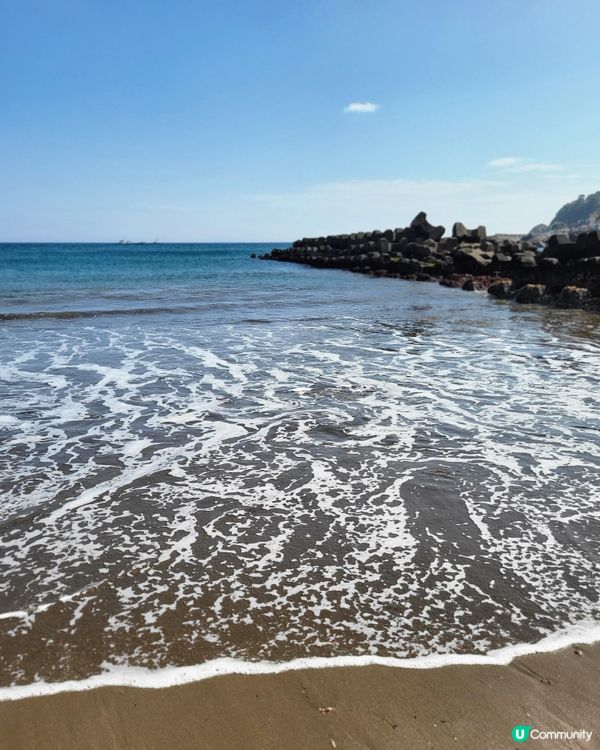 🇯🇵靜岡河津櫻🌸盛開實況