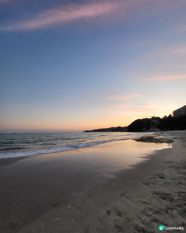 🇯🇵靜岡河津櫻🌸盛開實況