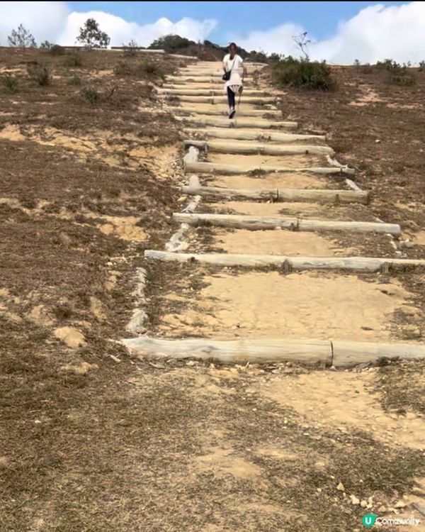 元荃古道｜七小時由荃灣行去元朗🏃‍♀️