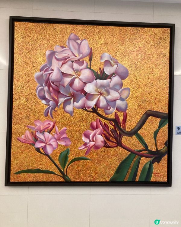 ## 旺角尋寶記 🚶‍♀️🛍️