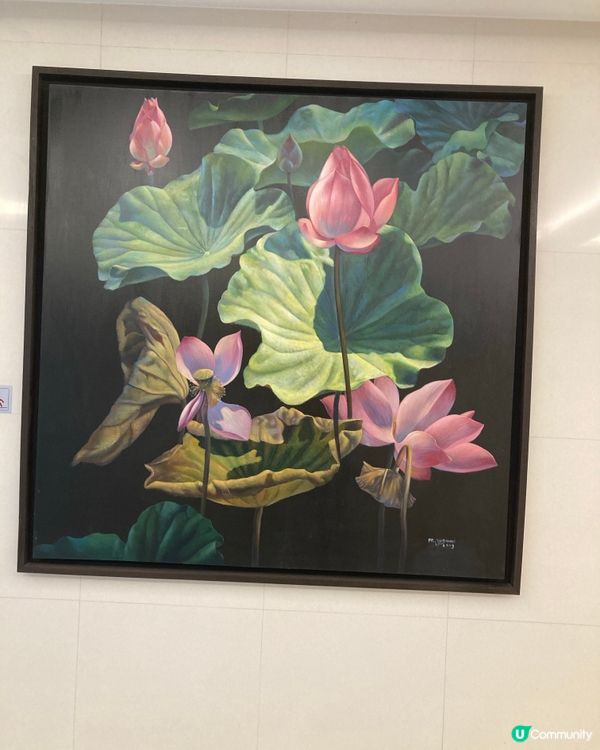 ## 旺角尋寶記 🚶‍♀️🛍️