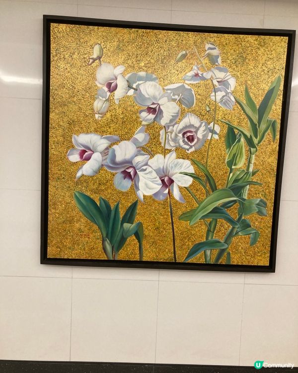 ## 旺角尋寶記 🚶‍♀️🛍️