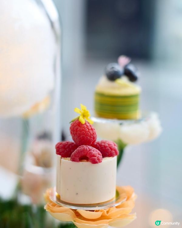 hoteliconhk 🎉🌸大堂餐廳 GREEN 全新{鳥語花韻果香三道菜下午茶}