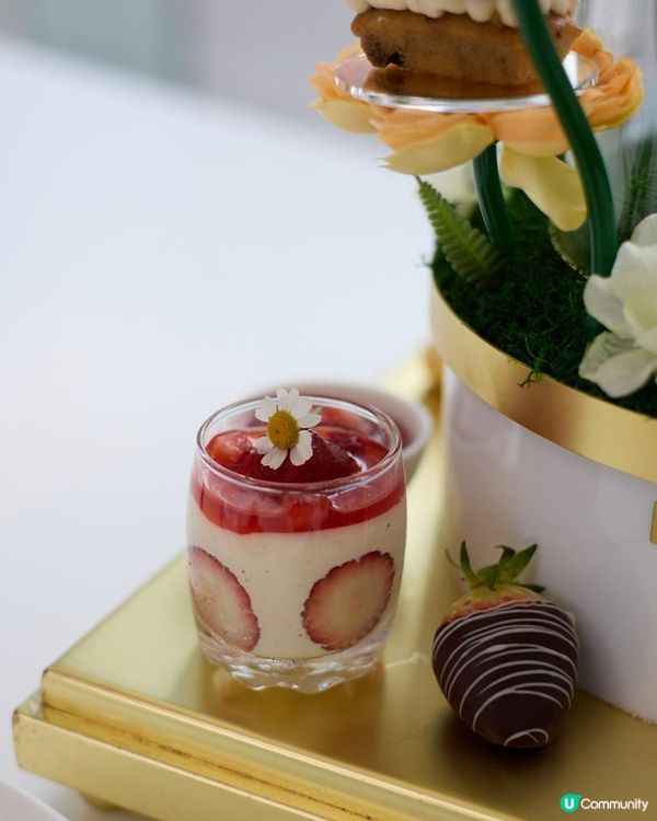 hoteliconhk 🎉🌸大堂餐廳 GREEN 全新{鳥語花韻果香三道菜下午茶}