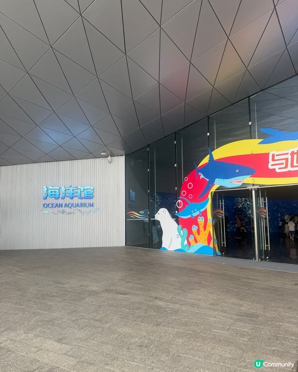 小梅沙海洋世界 🐠🐬🐳  一家大小玩到癲！