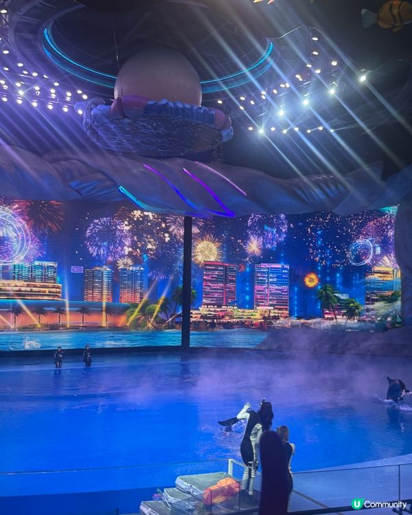 小梅沙海洋世界 🐠🐬🐳  一家大小玩到癲！