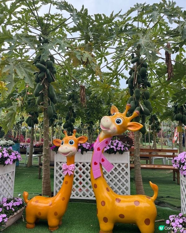 #好去處 #全新景點 #chill #隱世打卡點 #打卡 #...