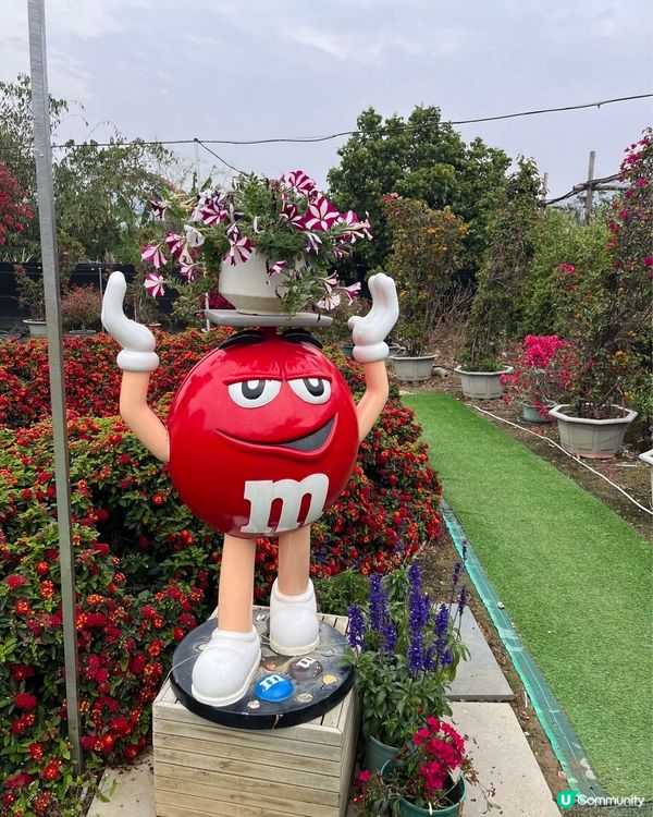 #好去處 #全新景點 #chill #隱世打卡點 #打卡 #...