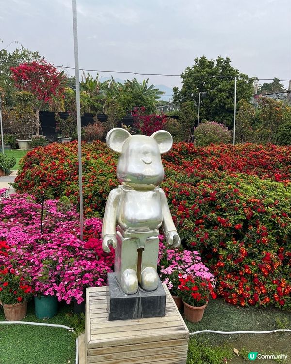 #好去處 #全新景點 #chill #隱世打卡點 #打卡 #...