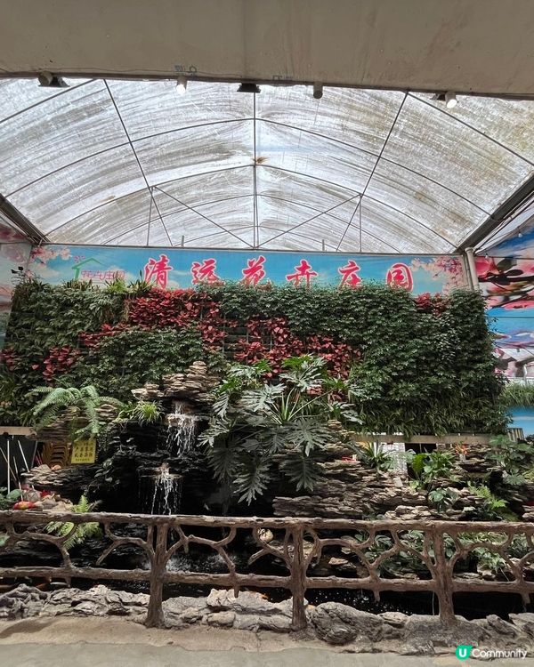 #好去處 #全新景點 #chill #隱世打卡點 #打卡 #...