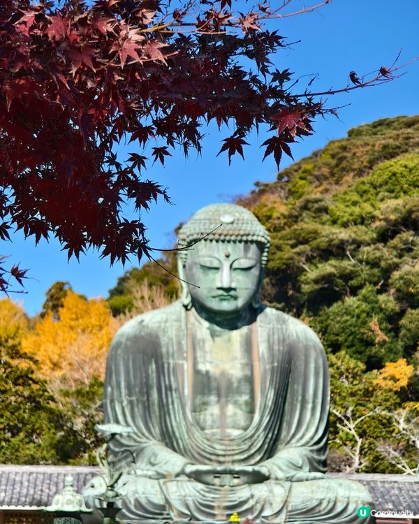 參拜日本第二高的佛像