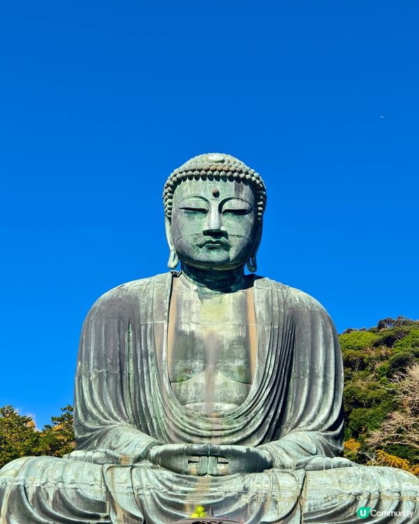 參拜日本第二高的佛像