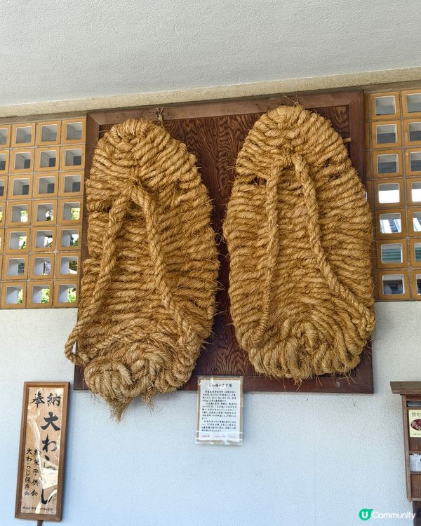 參拜日本第二高的佛像