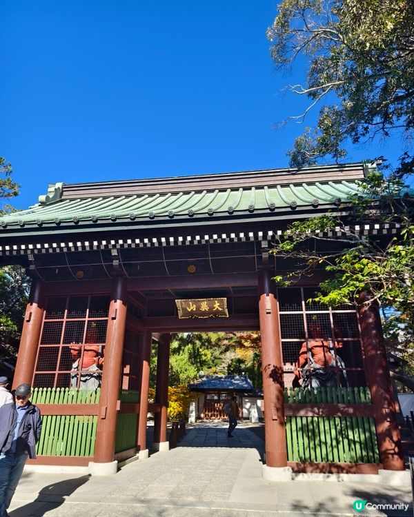 參拜日本第二高的佛像