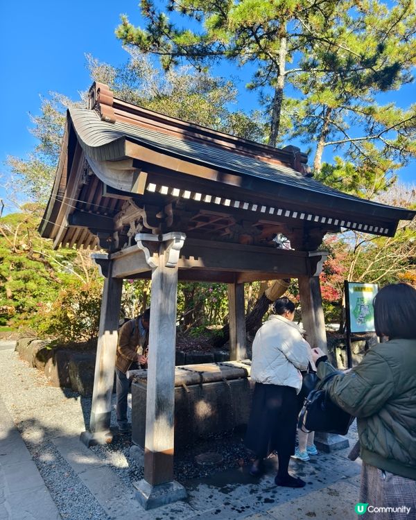 參拜日本第二高的佛像