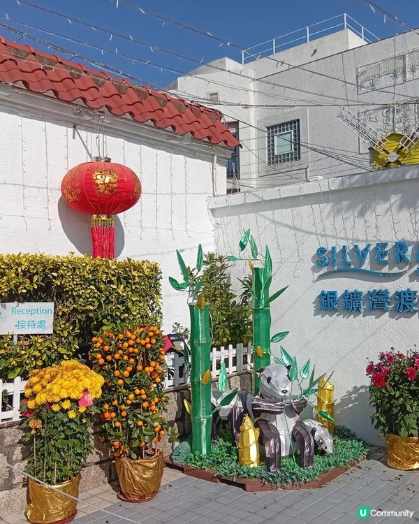 梅窩慢活之旅，放鬆身心 🏖️