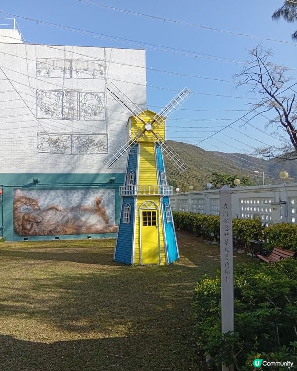 梅窩慢活之旅，放鬆身心 🏖️