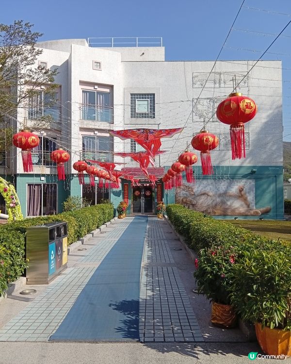 梅窩慢活之旅，放鬆身心 🏖️