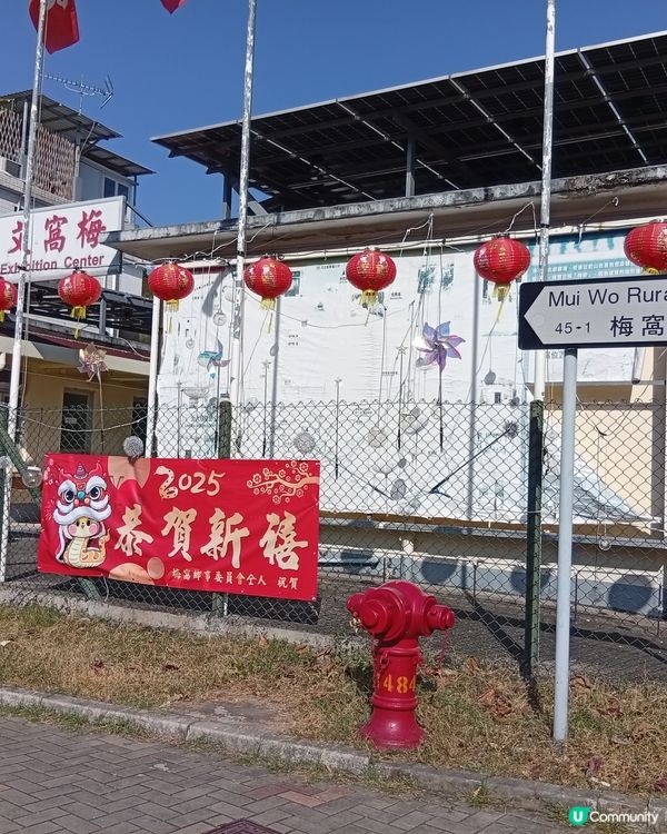 梅窩慢活之旅，放鬆身心 🏖️