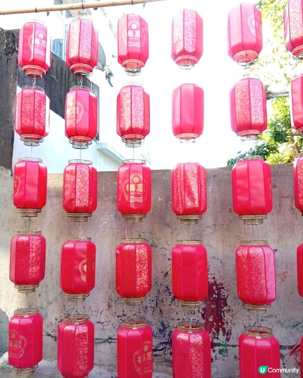 梅窩慢活之旅，放鬆身心 🏖️