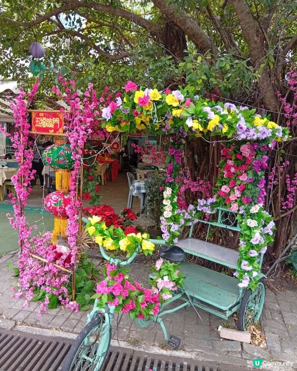 梅窩慢活之旅，放鬆身心 🏖️