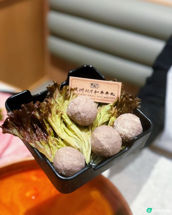 牛大人4+和牛放題！🤤台式之旅