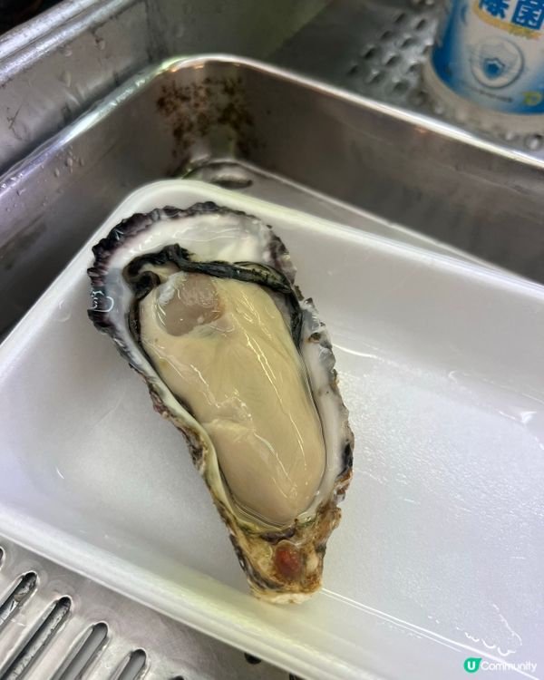 E人大阪獨遊🍣 即興黑門市場搵食