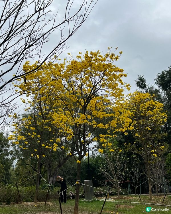 #好去處#全新景點#chill#打卡#隱世打卡點#生活足跡#...