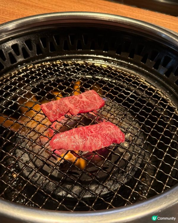 性價比回頭率高之驚安!!!