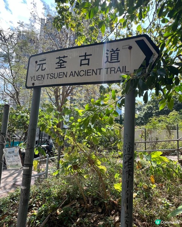 元荃古道｜七小時由荃灣行去元朗🏃‍♀️