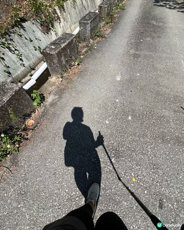 元荃古道｜七小時由荃灣行去元朗🏃‍♀️