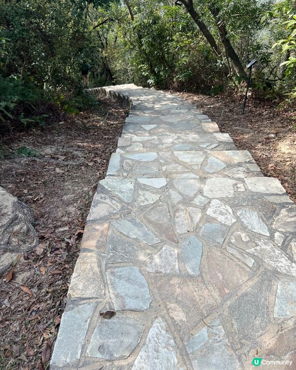 元荃古道｜七小時由荃灣行去元朗🏃‍♀️