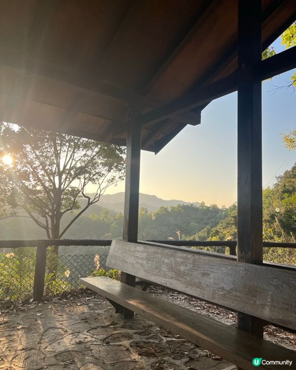 元荃古道｜七小時由荃灣行去元朗🏃‍♀️