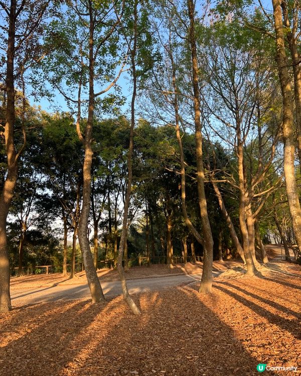 元荃古道｜七小時由荃灣行去元朗🏃‍♀️