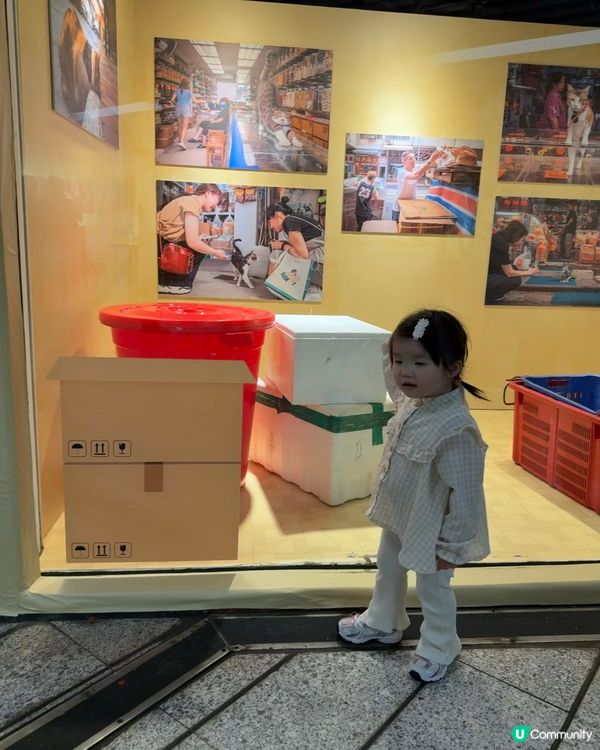 🐱‍👤貓店長展覽！中環站打卡必去！🤩