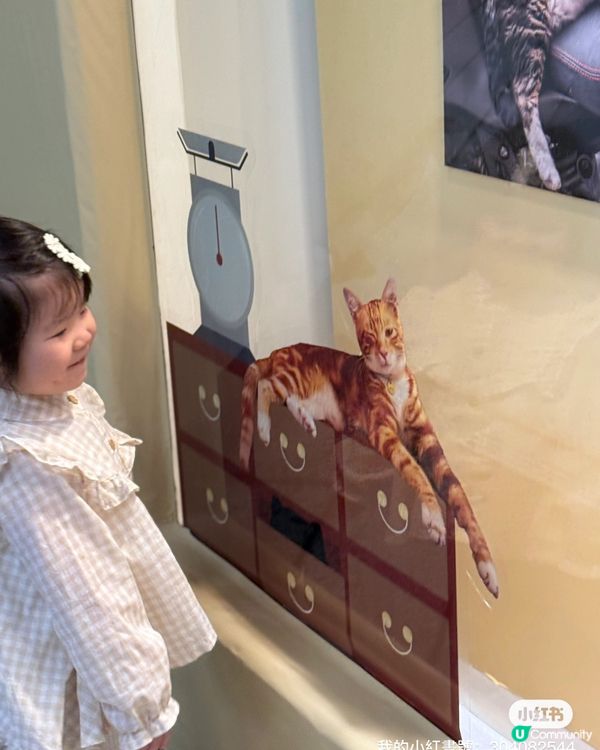 🐱‍👤貓店長展覽！中環站打卡必去！🤩