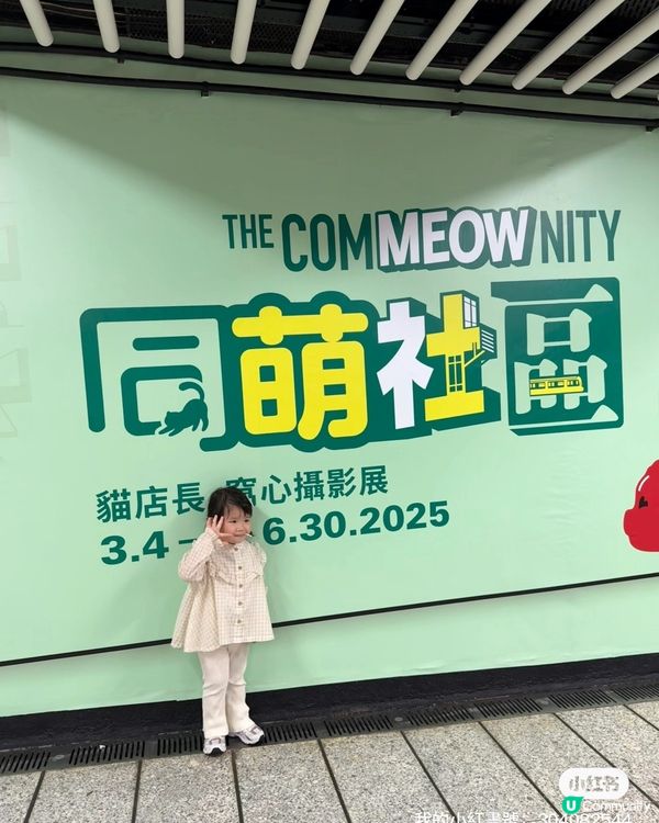 🐱‍👤貓店長展覽！中環站打卡必去！🤩