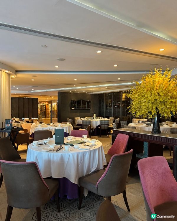 #青海菜食到停唔到🤤 #香港都食到 😊😋 推介大家～