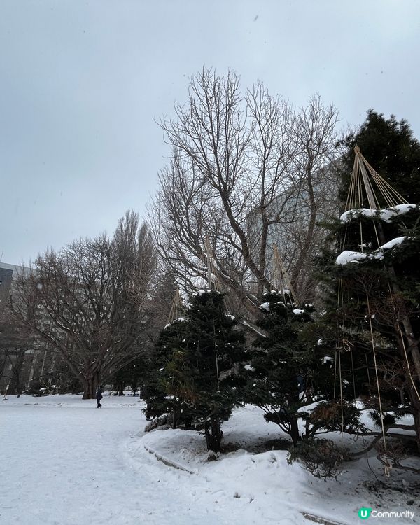 北海道廳舊本廳舍