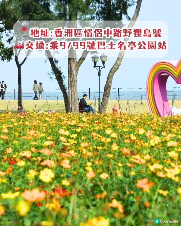 珠海3月4大花海😍佔地20畝!夢幻紅色仙境‼️正值花期🌹即睇花海地址