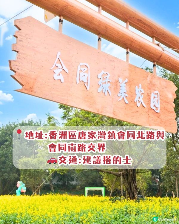 珠海3月4大花海😍佔地20畝!夢幻紅色仙境‼️正值花期🌹即睇花海地址