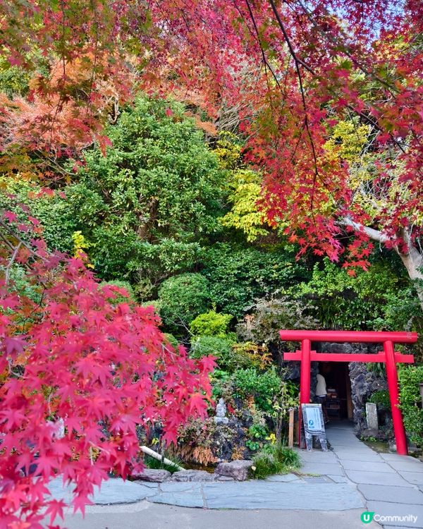 鐮倉長谷寺，放滿可愛地藏菩薩