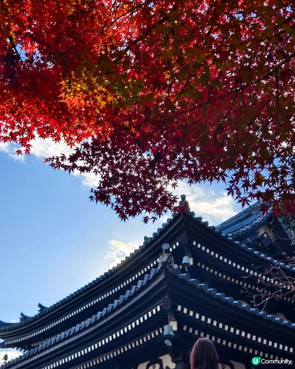 鐮倉長谷寺，放滿可愛地藏菩薩